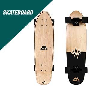 cruiser skateboard