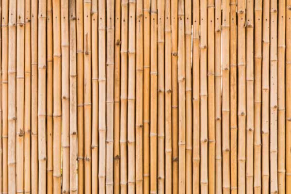 Bamboo Wood