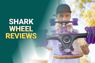 Best Shark Wheel Review In 2025 – Why Should You Buy These?