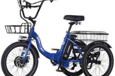 10 Best Electric Bicycles for Seniors In 2026
