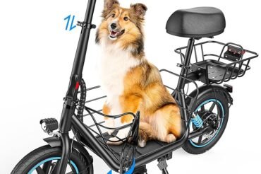 Gyroor C1 Plus Electric Scooter Troubleshooting: Quick Fixes