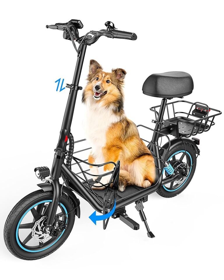 Gyroor C1 Plus Electric Scooter Troubleshooting
