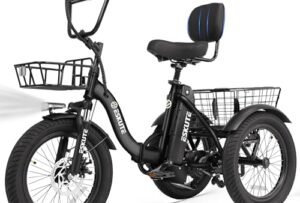 ESKUTE E Trike Electric Bike Reviews: Honest Buyer’s Guide