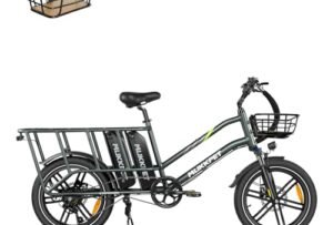 Mukkpet Stepwagon Electric Bike for Adults Reviews: My Take