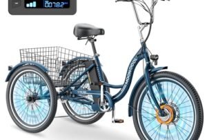 Mooncool Electric Tricycle Reviews: Honest Road Test