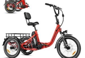 ADDMOTOR CITYTRI E-310 Electric Trike Reviews: Real-World Verdict