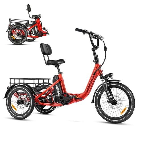 ADDMOTOR CITYTRI E-310 Electric Trike Reviews: Real-World Verdict