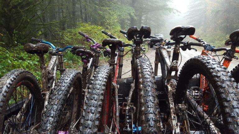 How Often Should I Service My Mountain Bike?: Pro Tips