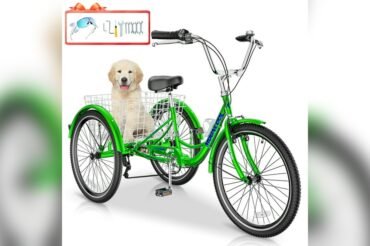 Do Cruiser Bikes Require Special Maintenance? Essential Tips Revealed