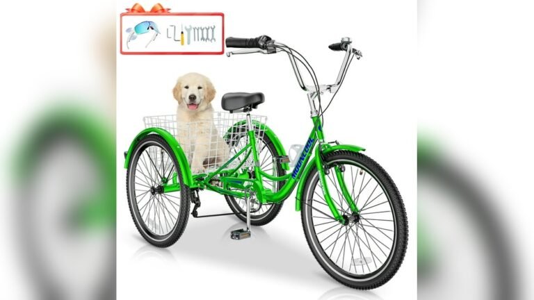 Do Cruiser Bikes Require Special Maintenance?
