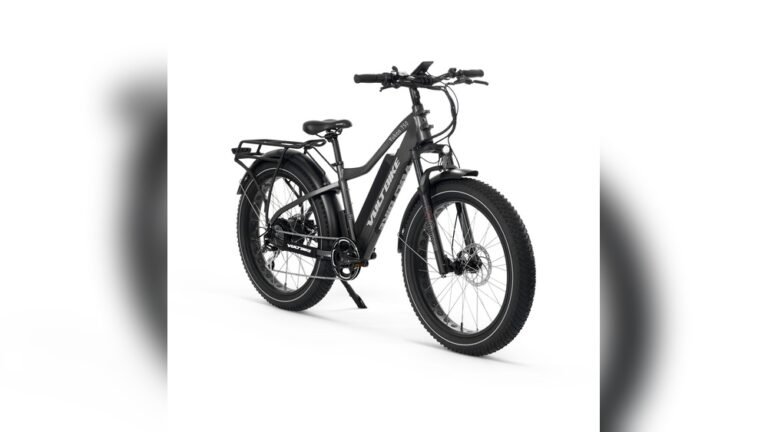 What is the Average Price Range for Fat Tire Bikes?