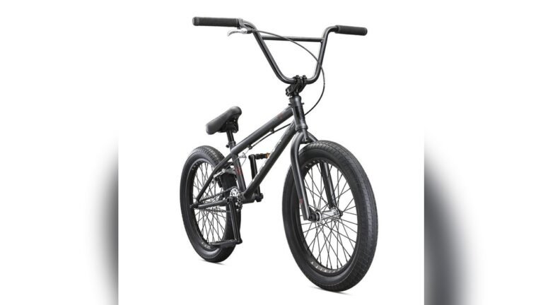 What is the Best Brand for Bmx Bikes?