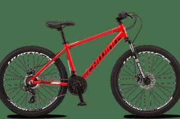 What is the Weight Limit of the Schwinn High Timber Bike? Find Out Now!