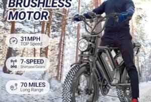 7 Best Electric Moped Under $1000