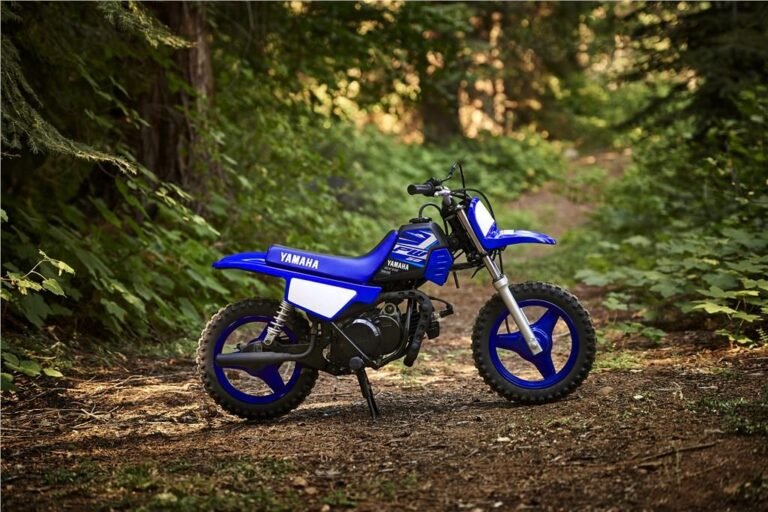 What Size Dirt Bike Should A Beginner Get