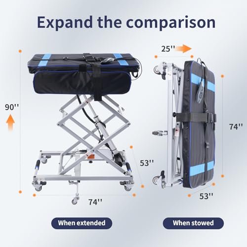 Best Wheelchair Lifts For Cars