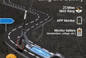 WERHY Electric Scooter Reviews: Honest Buyer’s Guide