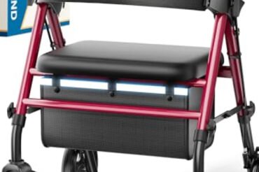 10 Best Heavy Duty Walkers For Seniors In 2026