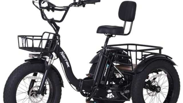7 Best Electric Trike For Commuting 2026