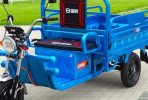 8 Best Electric Trike For Rough Terrain (2026)