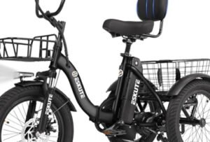 ESKUTE E Trike Electric Bike Reviews: Honest Buyer’s Guide