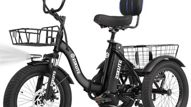 ESKUTE E Trike Electric Bike Reviews: Honest Buyer’s Guide