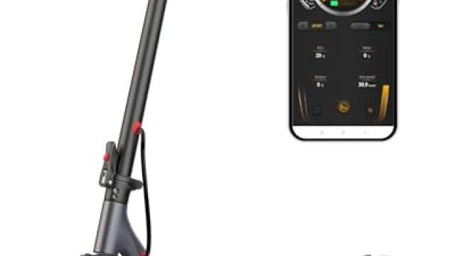 VOLPAM 10 Inches Electric Scooter Review: Honest 2026 Take