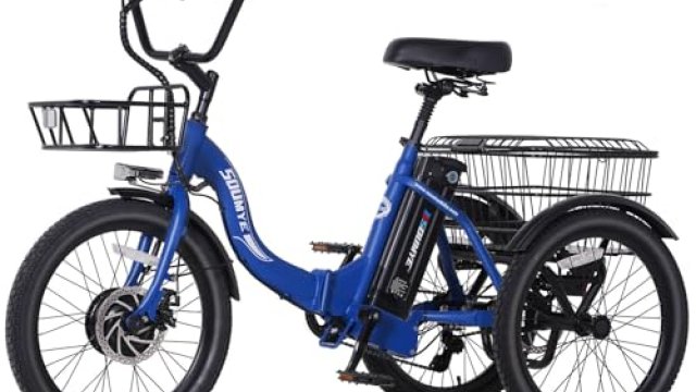 10 Best Electric Bicycles for Seniors In 2026