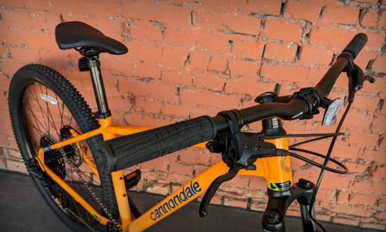 Cannondale Trail 5 crank making noise