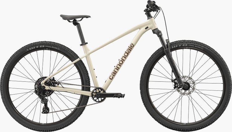 The rear derailleur cable and hanger on a mountain bike showing mechanical wear.