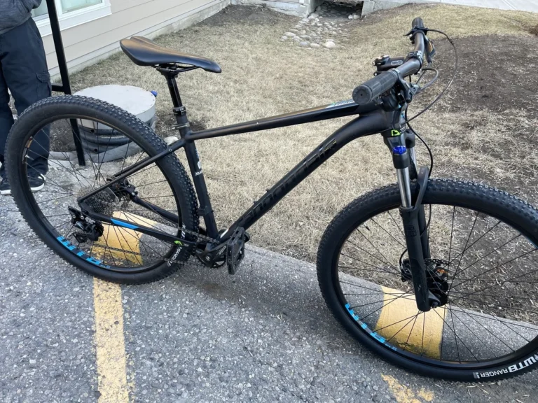 Cannondale Trail 5 tire keeps going flat