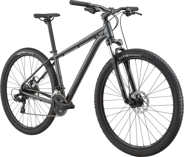 Cannondale Trail 8 tire keeps going flat
