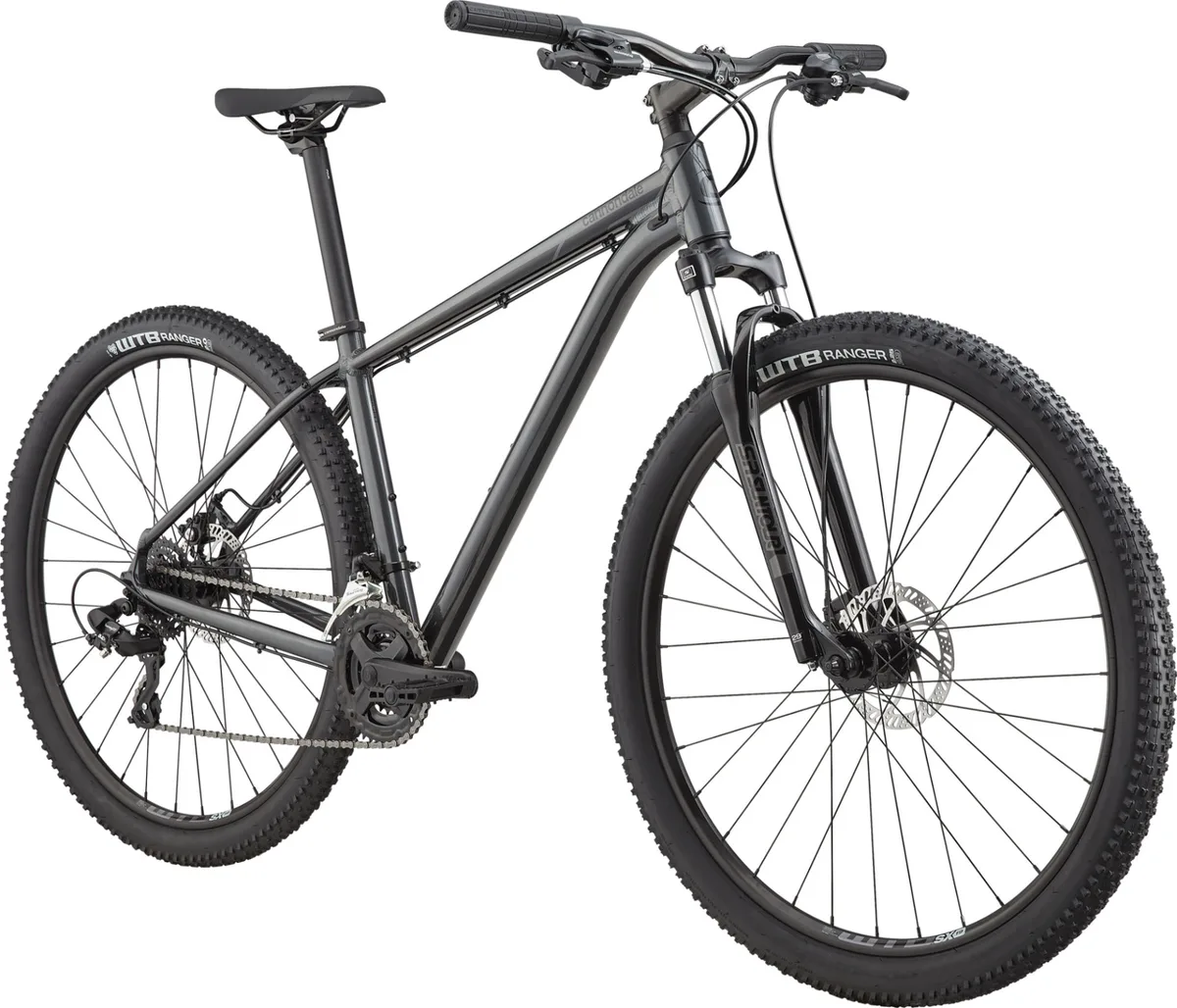 Cannondale Trail 8 tire keeps going flat