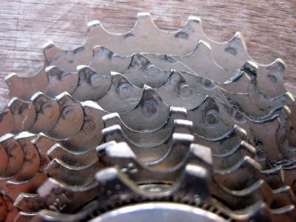 cassette wear shark fin