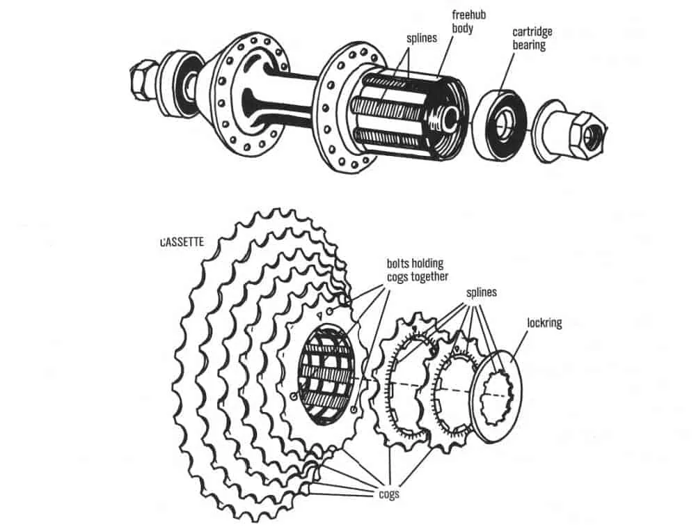 freehub mechanism diagram