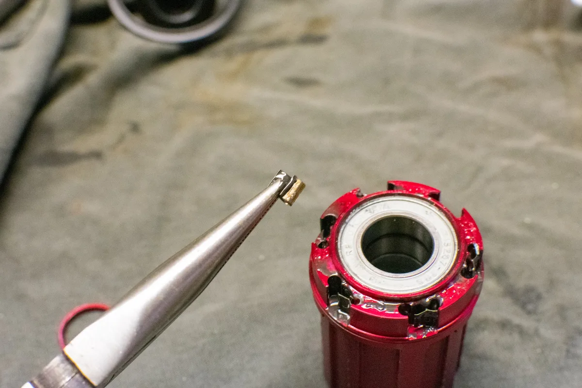 freehub pawls and springs