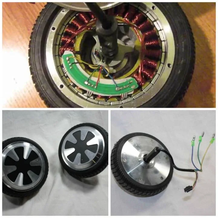 Hoverboard hub motor disassembled