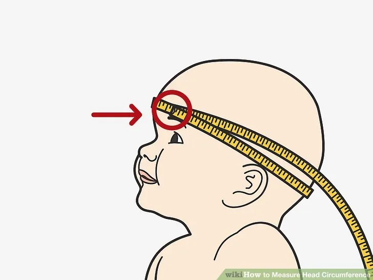 How to Measure Your Head Circumference Accurately