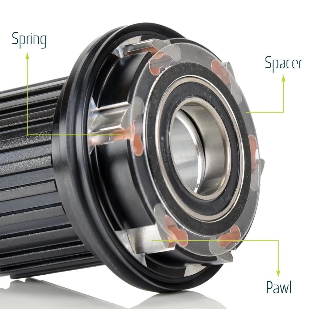 Hub pawls and freehub cross-section
