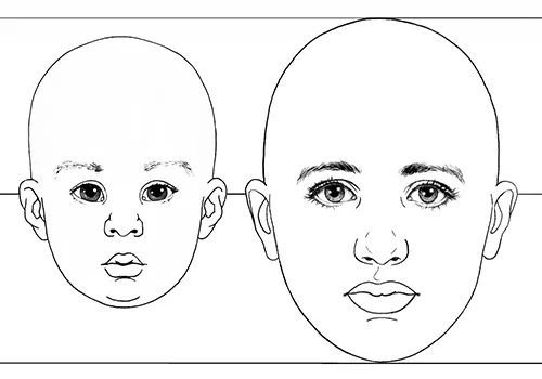 Key Differences: Adult Helmets vs. Youth Helmets