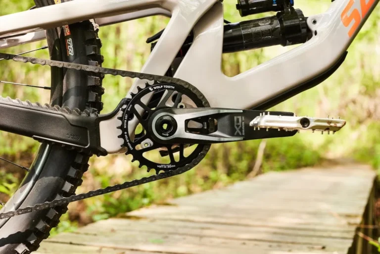 mountain bike chainring making noise