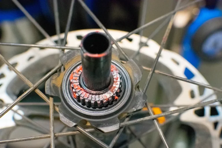 mountain bike freehub making noise