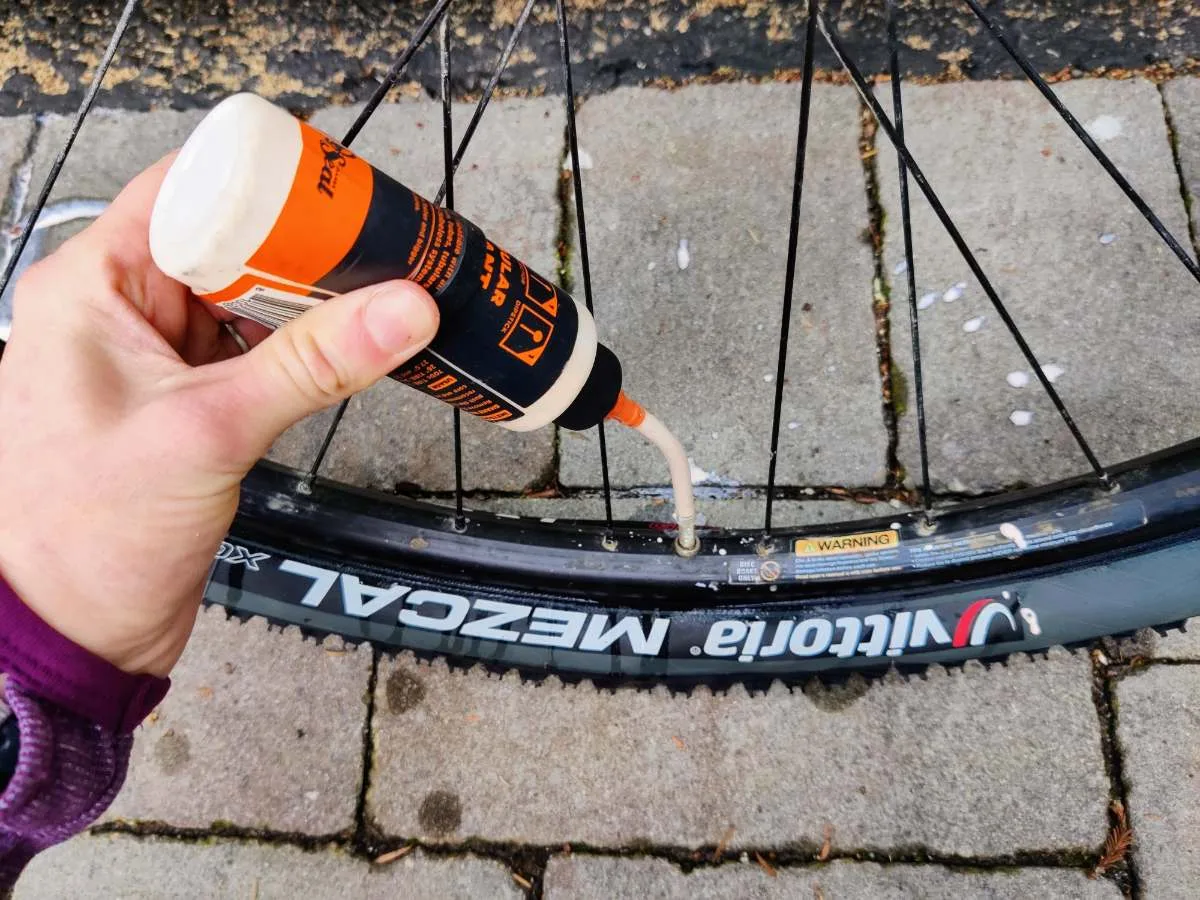mountain bike tire losing air