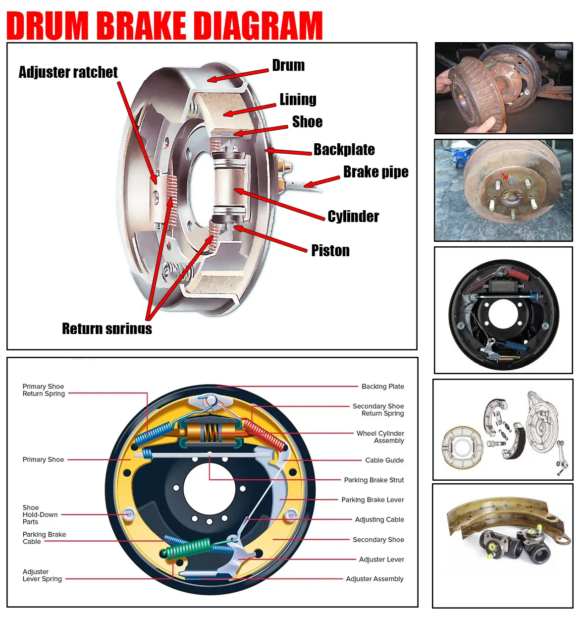 Rear drum brake assembly