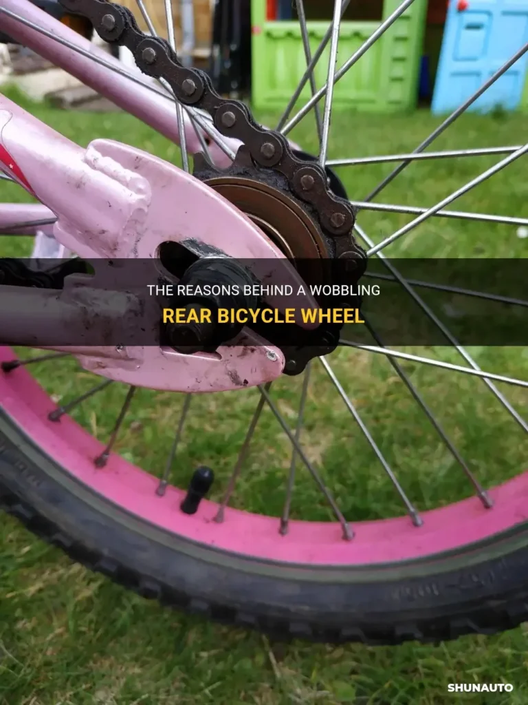 RoyalBaby Freestyle wheel wobbling