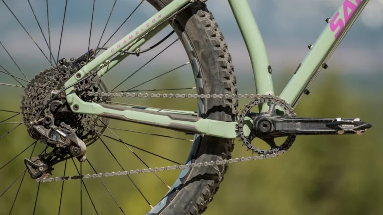 Santa Cruz Chameleon chain slipping