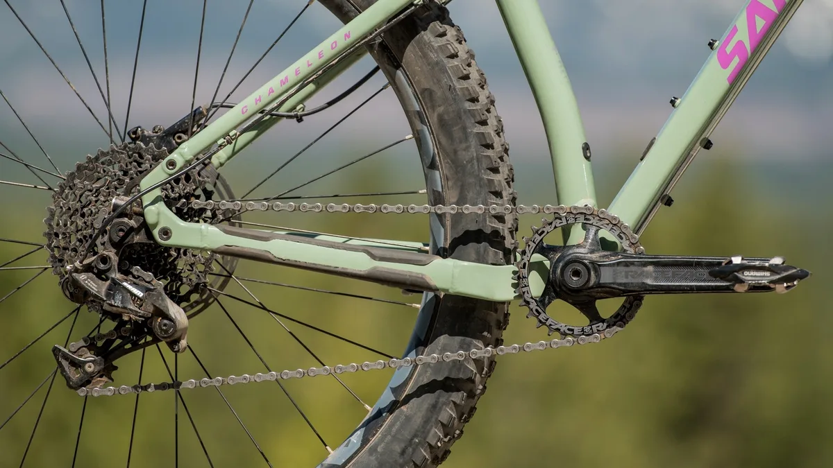 Santa Cruz Chameleon chain slipping