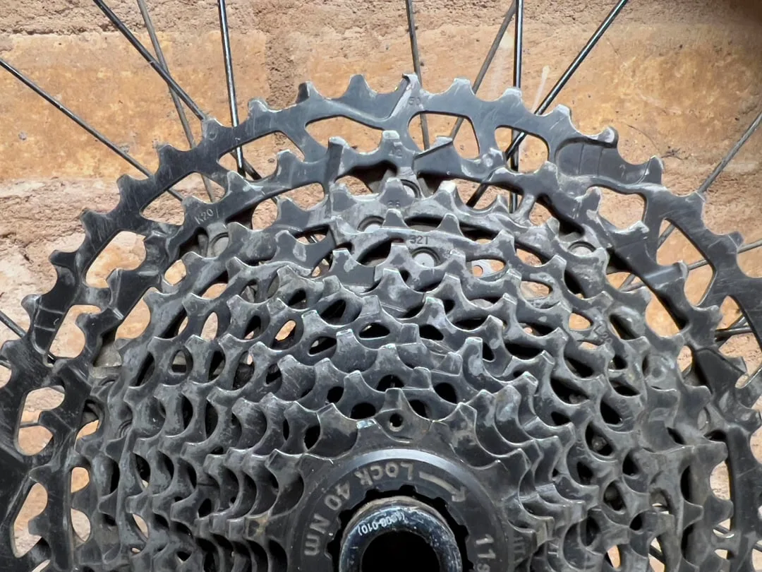 shark fin cassette teeth