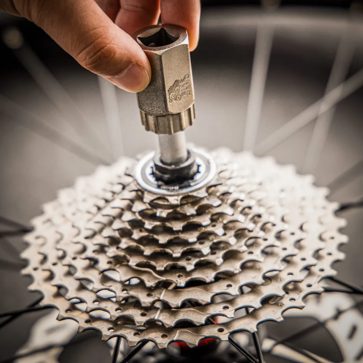 Shimano cassette lockring tool