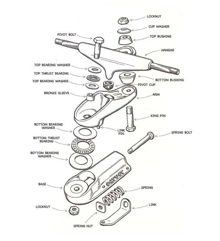 skateboard truck axle anatomy